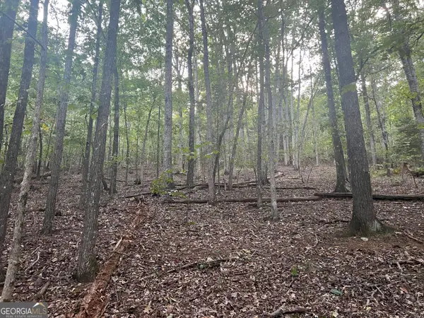 0 Rockfence Road, Adairsville, GA 30103