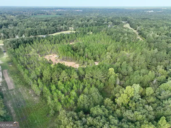 0 Carol Drive, Hawkinsville, GA 31036