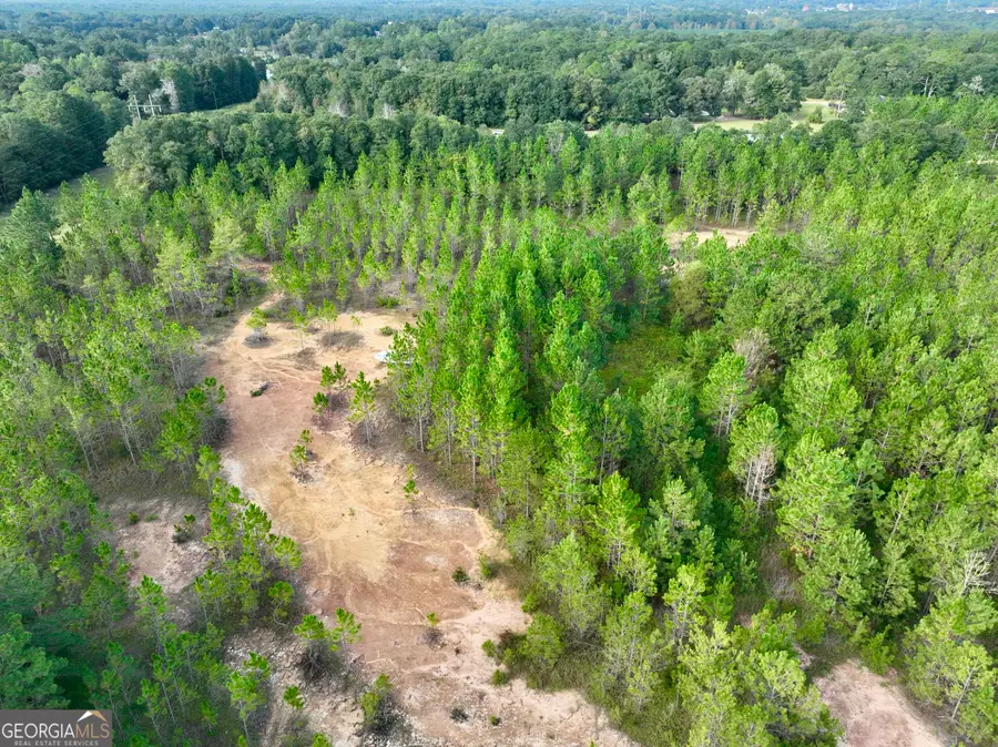 0 Carol Drive, Hawkinsville, GA 31036 - #2