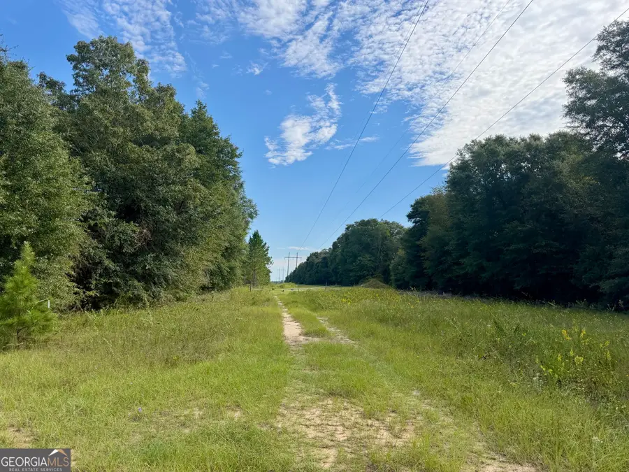0 Carol Drive, Hawkinsville, GA 31036 - #3