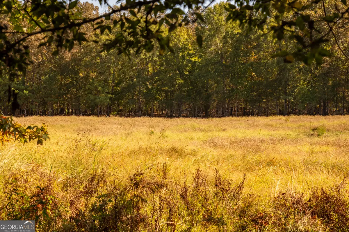 TRACTS 10,11,12 Livingston Road Sw, Rome, GA 30161 - #1