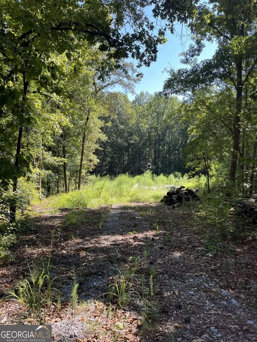46 Creek Ridge, Winterville, GA 30683 - #2