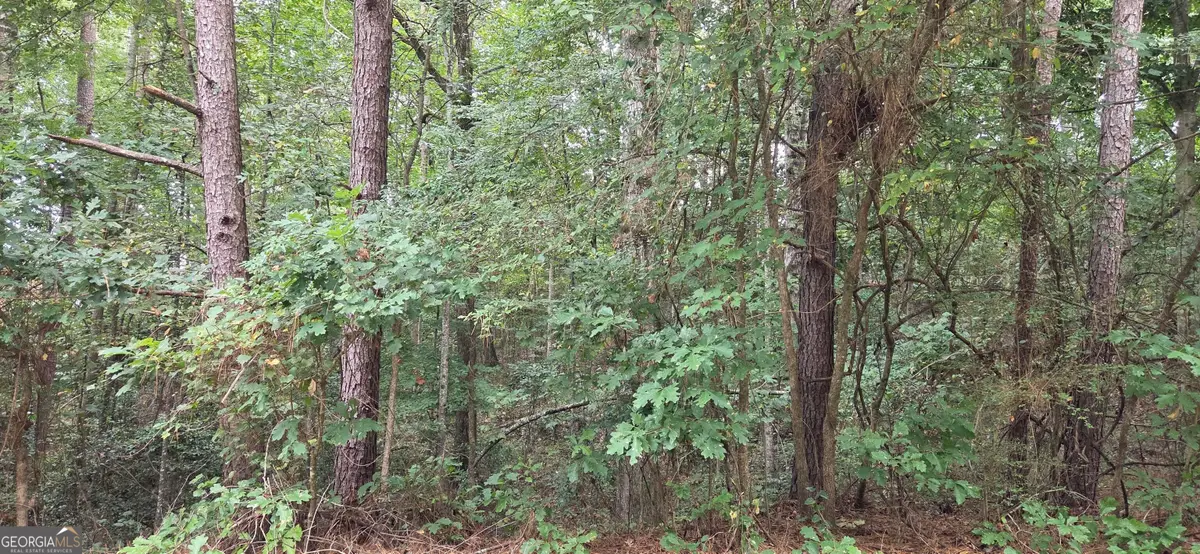 2678 Sleepy Hollow Road, Monroe, GA 30655 - #1