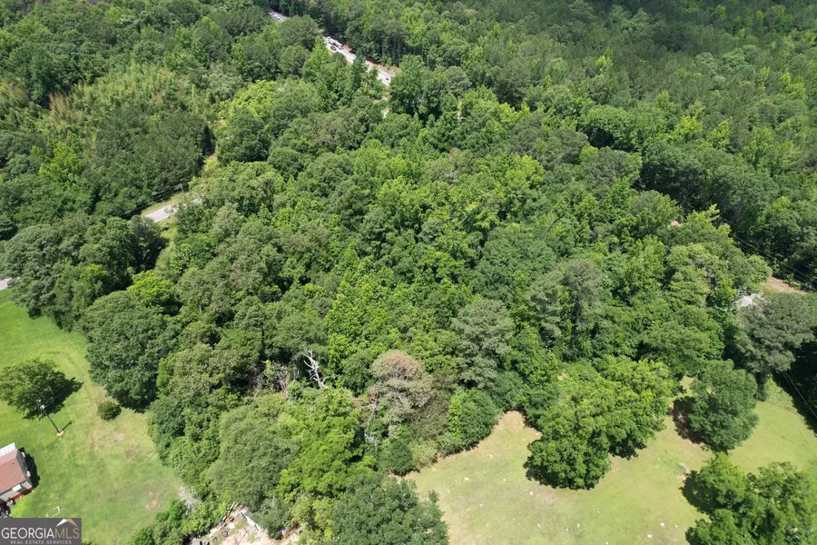TRACT B Newnan Road, Griffin, GA 30223 - #3