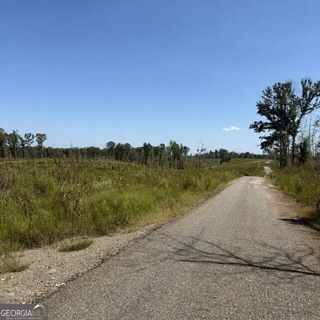 76 +/- ACRES ON Gibson Road, Talbotton, GA 31827 - #1