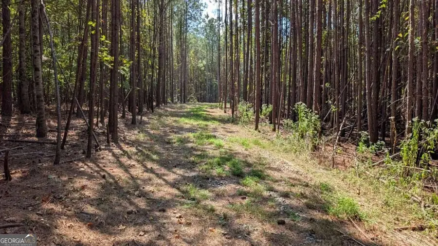 1158 Ballard Rd, Ball Ground, GA 30107 - #3