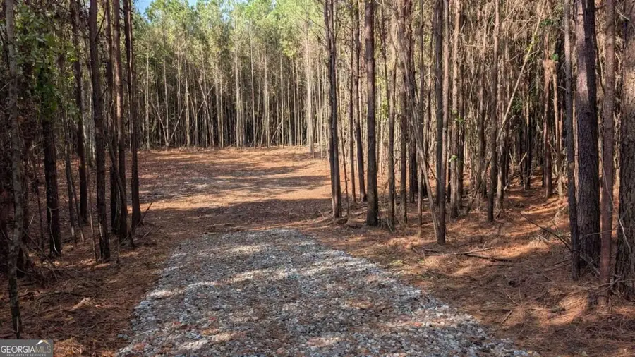 2446 Soap Creek Rd, Ball Ground, GA 30107 - #3