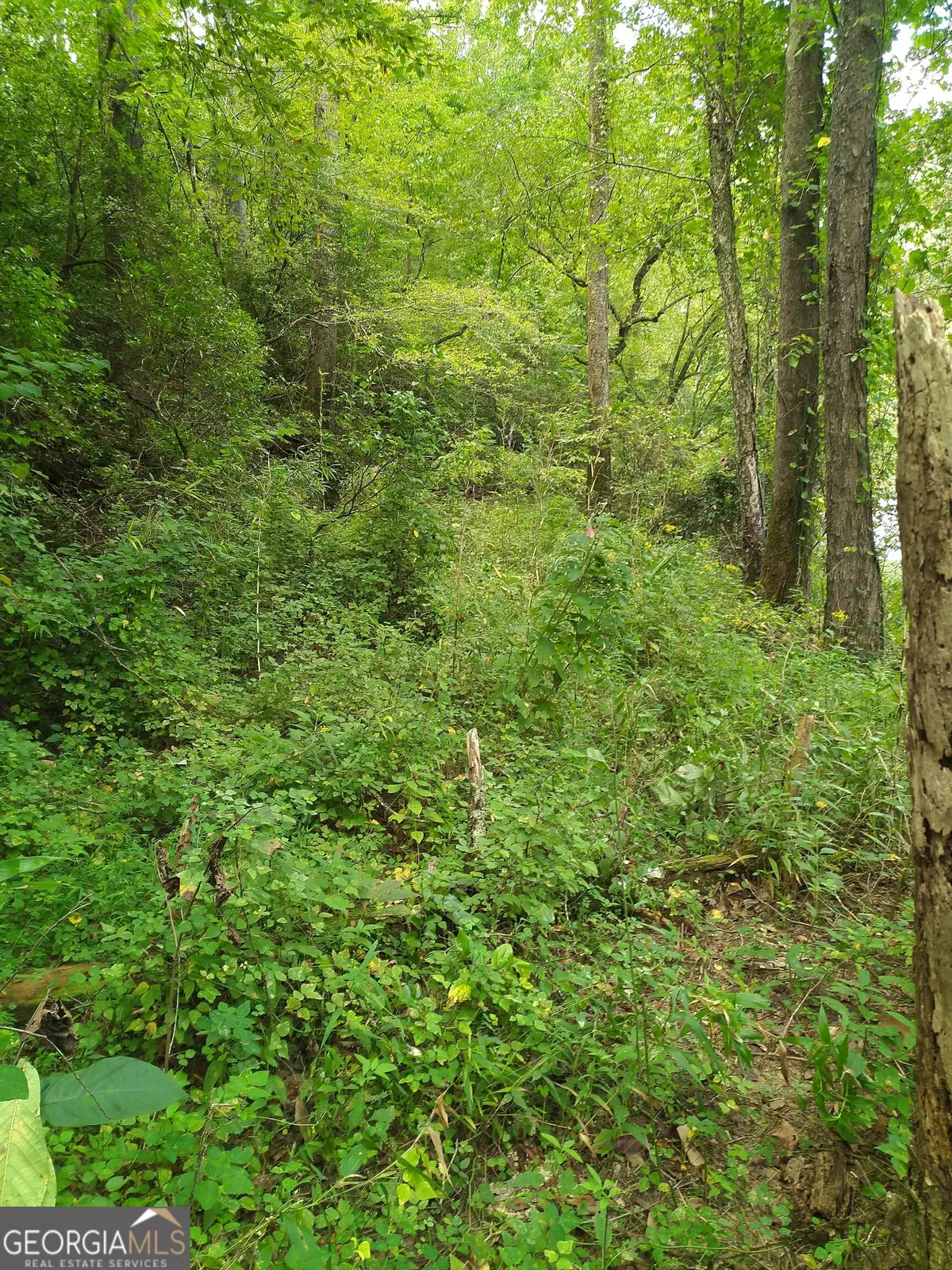 0 Marie #LOT 1800, Talking Rock, GA 30175 - #1