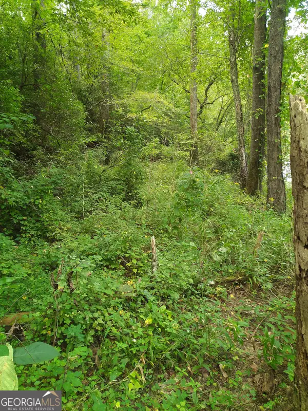 0 Marie #LOT 1800, Talking Rock, GA 30175