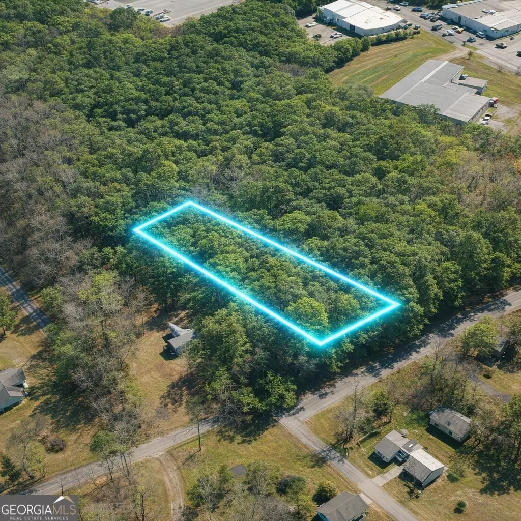 LOT 1 Highway 100, Summerville, GA 30747 - #1