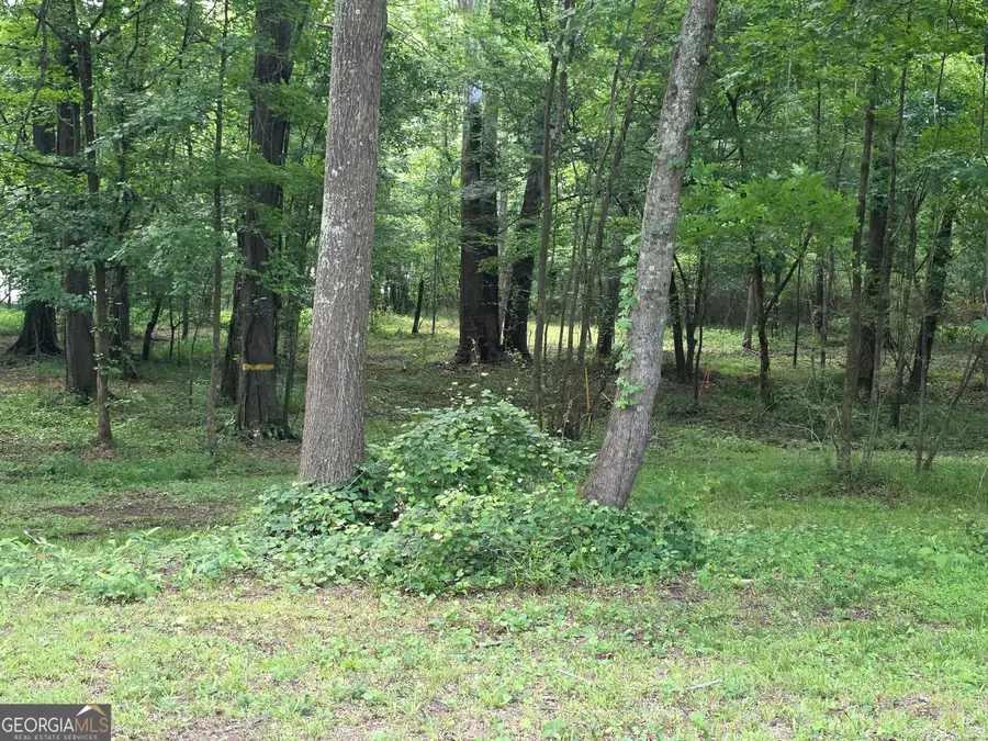 1070 Apalachee Shoals Ct, Madison, GA 30650 - #2