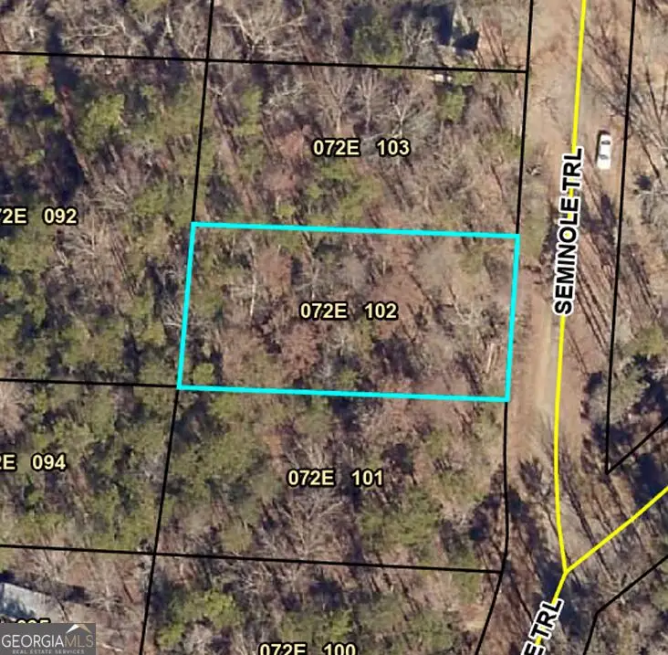 309 Seminole Trail, Martin, GA 30557 - #1