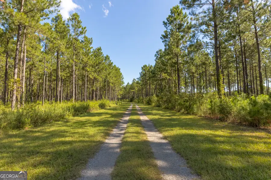 568 Highway 118 W, Smithville, GA 31787 - #2