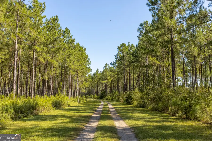 568 Highway 118 W, Smithville, GA 31787 - #3