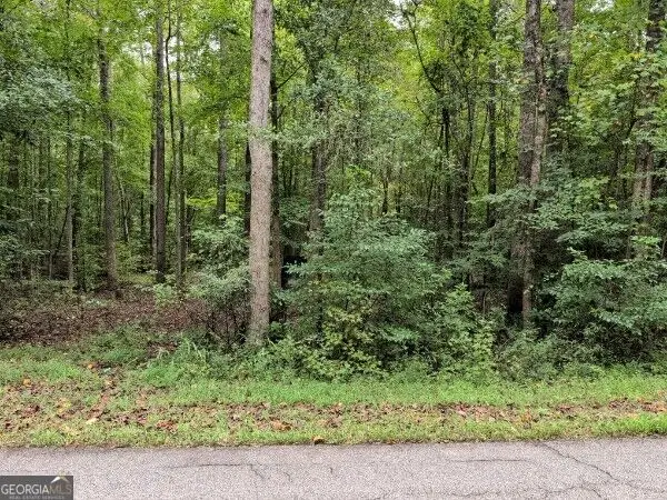 194 Tahoe Trail, Martin, GA 30557 - #1