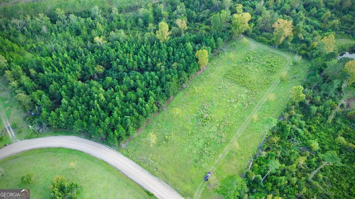 0 Sunflower Lane, Hazlehurst, GA 31539 - #1