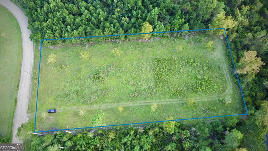 0 Sunflower Lane, Hazlehurst, GA 31539 - #3