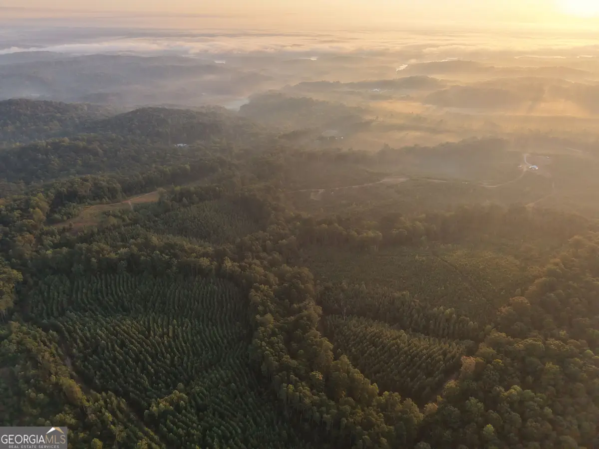 1087 E Silver Shoals Road, Toccoa, GA 30577 - #1