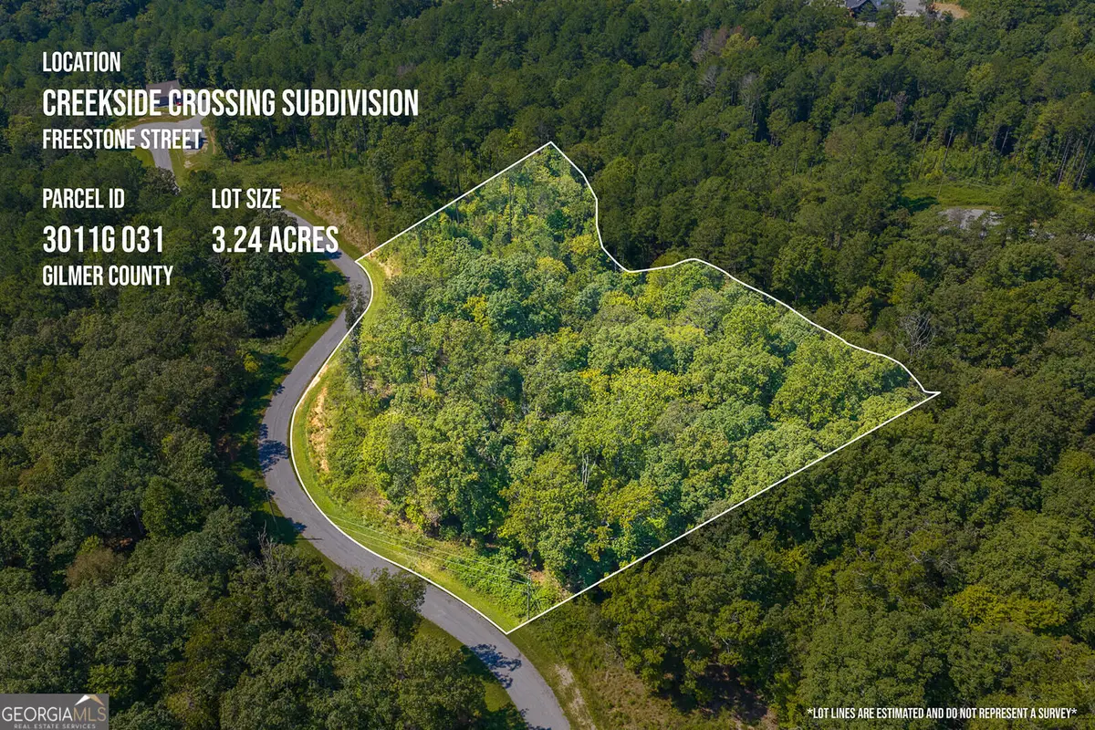 LOT 31 Freestone Street, Talking Rock, GA 30175 - #1