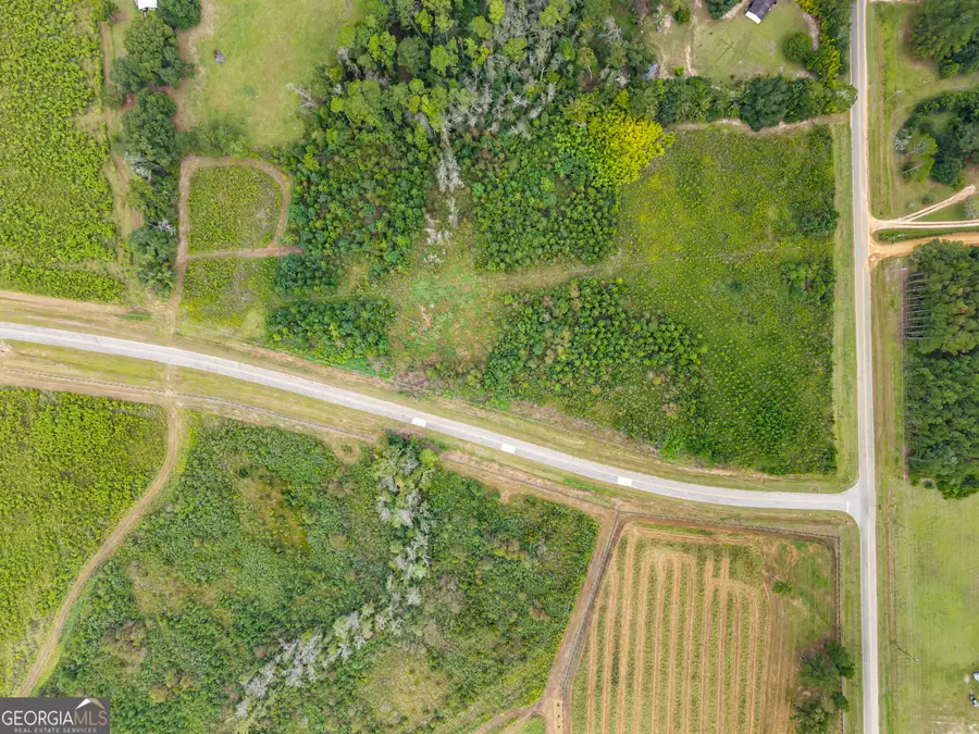 0 G W Oliver Road #LOT 1, Statesboro, GA 30458 - #3