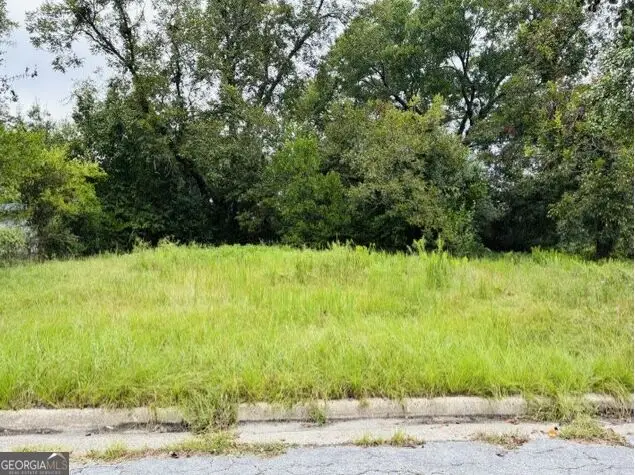 1681 Hester Street, Augusta, GA 30904 - #1