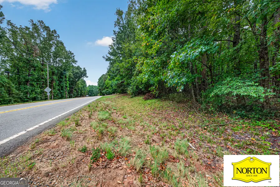5368 Old Winder Highway, Braselton, GA 30517 - #3