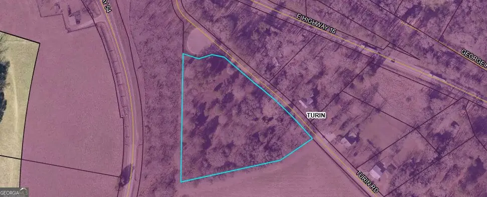 0 Turin Road, Senoia, GA 30276 - #1