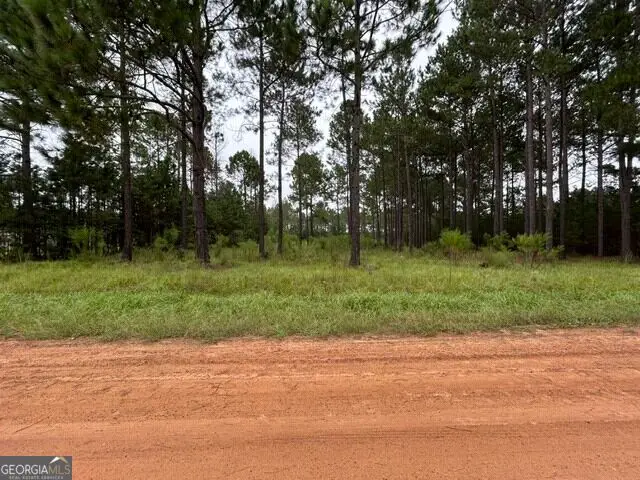 165 Creekside Way, Metter, GA 30439 - #1