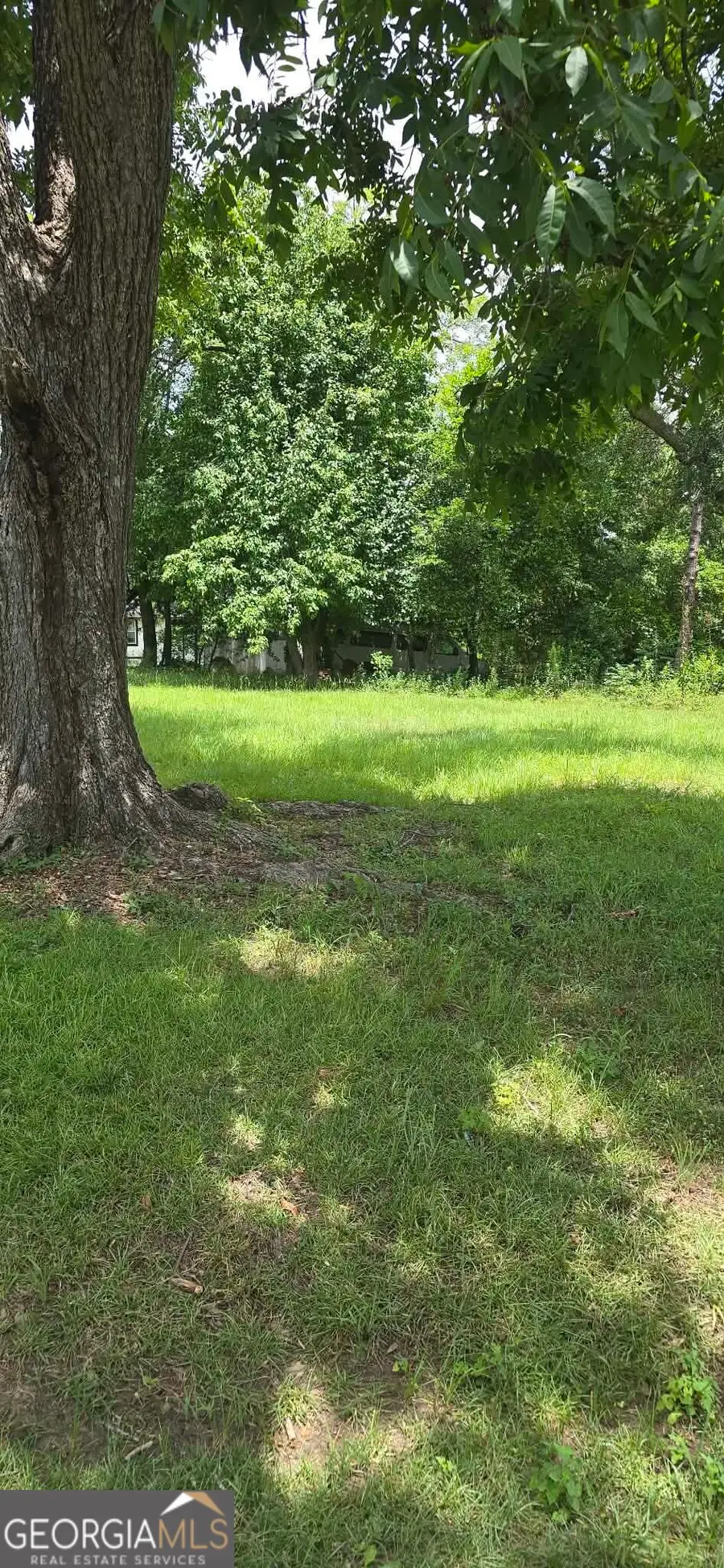 0 Pineknot, Ashburn, GA 31714 - #3