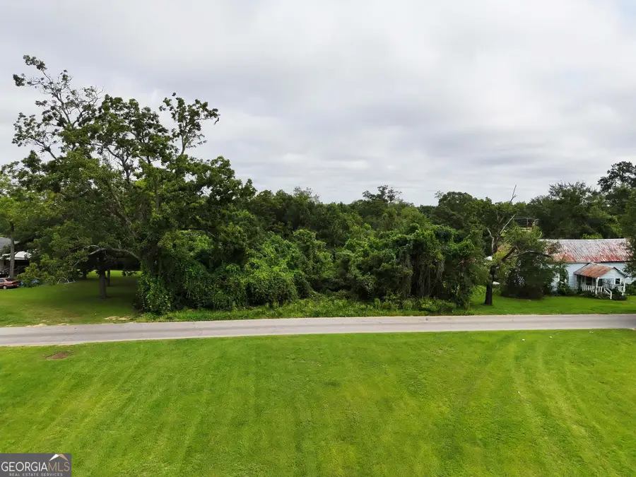 0 Castleberry Street, Pelham, GA 31779 - #2