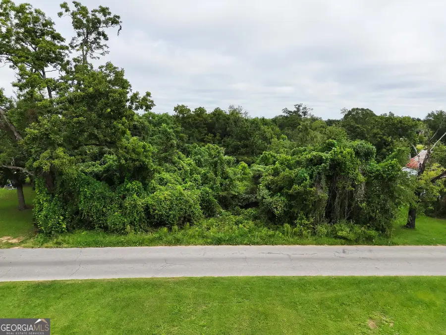 0 Castleberry Street, Pelham, GA 31779 - #3