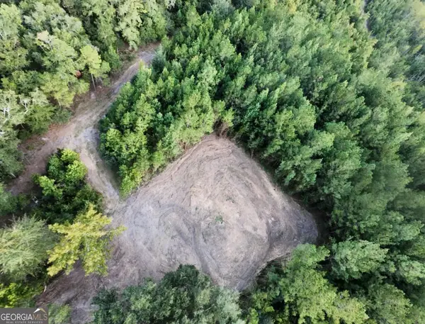 0 Fabled Lane #LOT 5, Pembroke, GA 31321