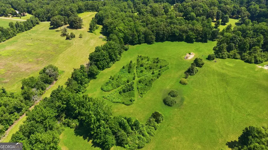 0 Amys Creek 12 Ac Road, Clarkesville, GA 30523 - #2