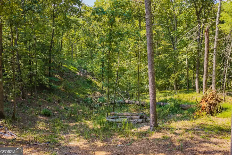 LOT 344 Lower Knoll Court, Talking Rock, GA 30175 - #2