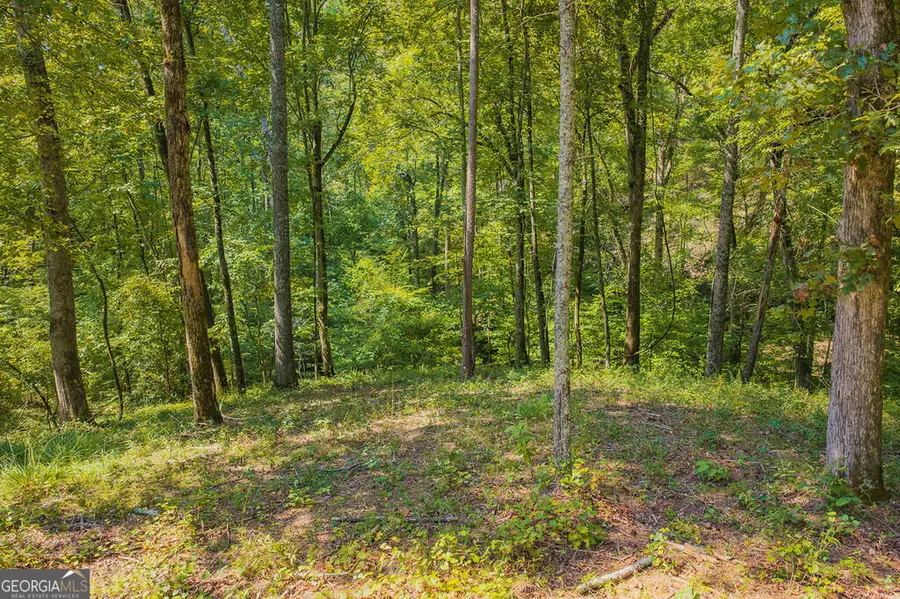 LOT 344 Lower Knoll Court, Talking Rock, GA 30175 - #3
