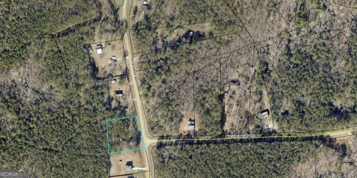 0 Peevsille Rd Road, Locust Grove, GA 30248 - #1