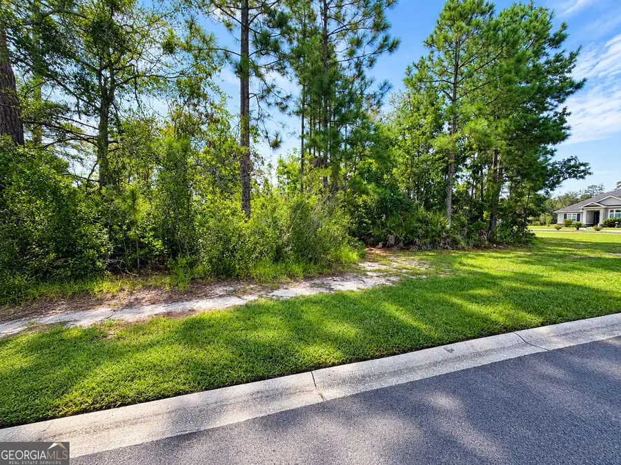 VL/50 Fiddlers Cove Drive, Kingsland, GA 31548 - #2