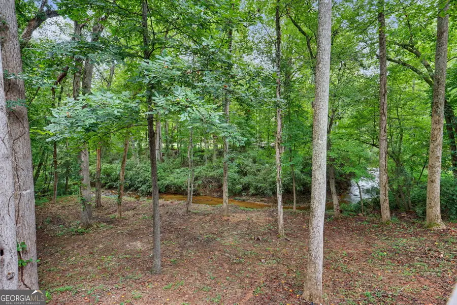 174 Tusquittee Trail, Cornelia, GA 30531 - #3