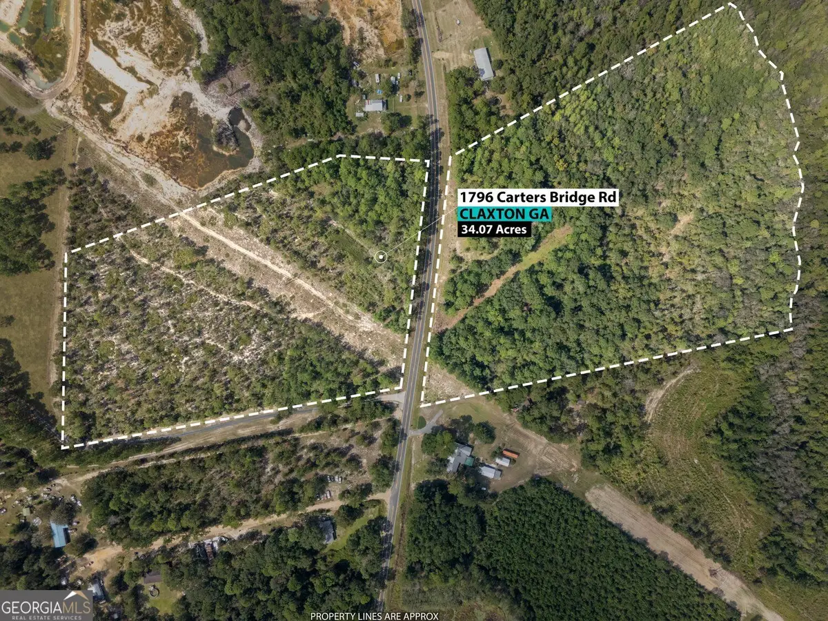 1794 Carters Bridge Road, Claxton, GA 30417 - #1