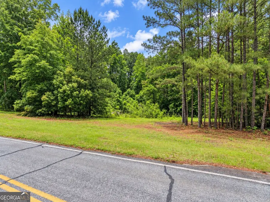 3 ACRES Adcock Road, Newnan, GA 30263 - #2