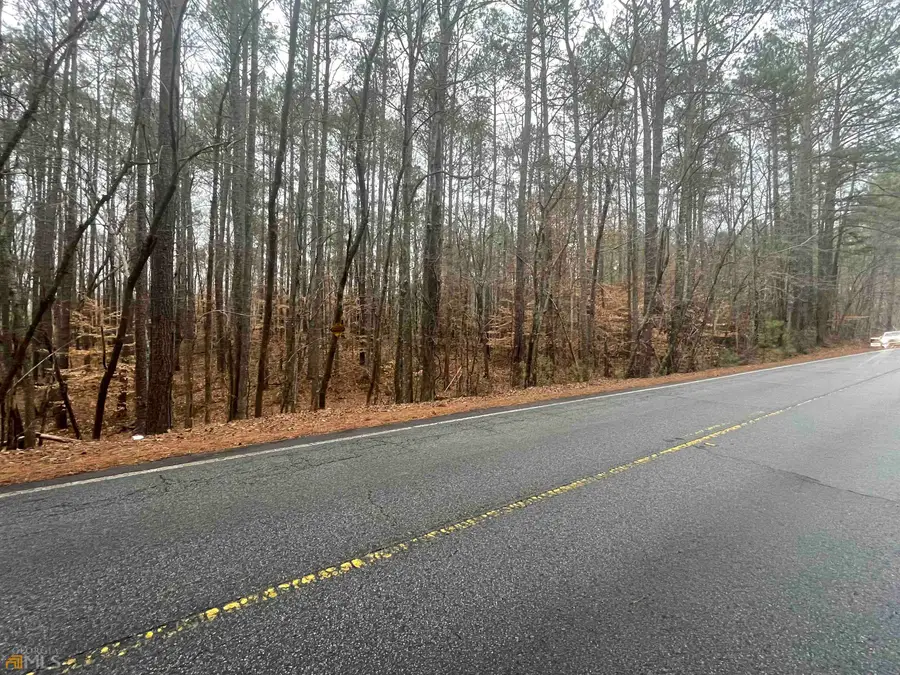 0 Cedar Grove Road, Fairburn, GA 30213 - #3