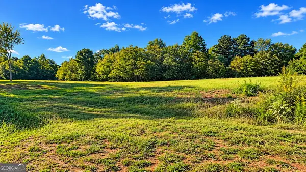 8005 Grand Meadow Run, Gainesville, GA 30506