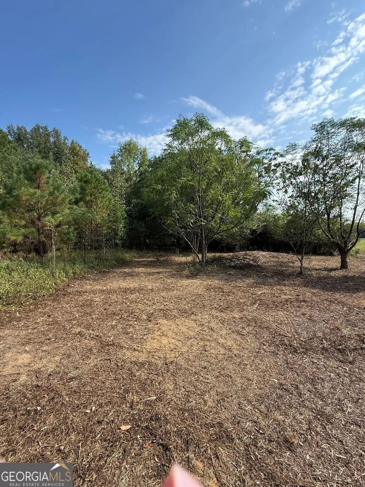 0 S Bartow Road, Bartow, GA 30413 - #1