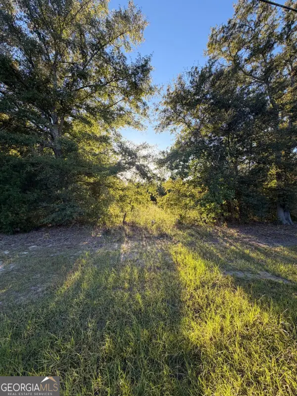 0 Hwy 1 N, Swainsboro, GA 30401