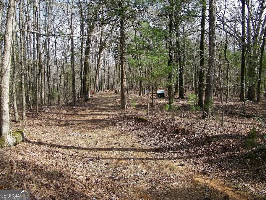 LOT 25 Benjamin Brown Court, Elberton, GA 30635 - #3