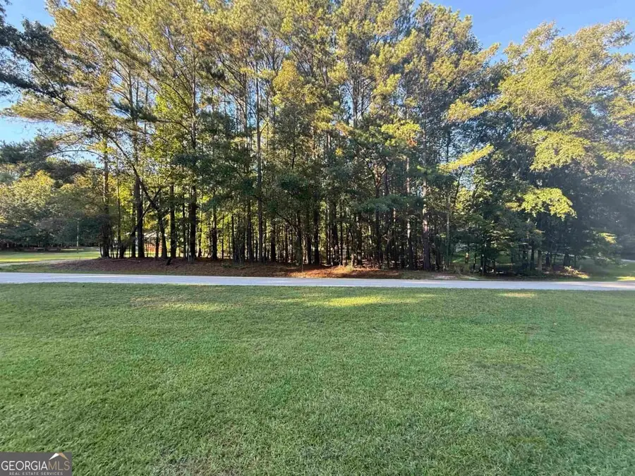 215 Rockville Springs Drive, Eatonton, GA 31024 - #3