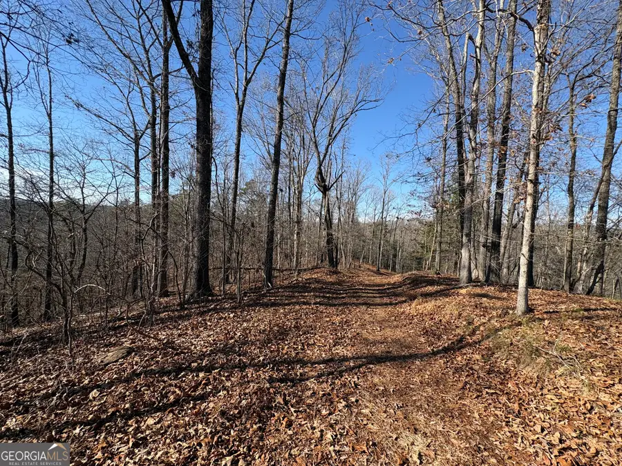 0 Lawrence Road, Dawsonville, GA 30534 - #3