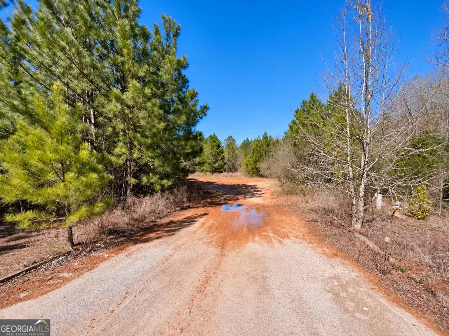 162 Hwy 162, Covington, GA 30016 - #3