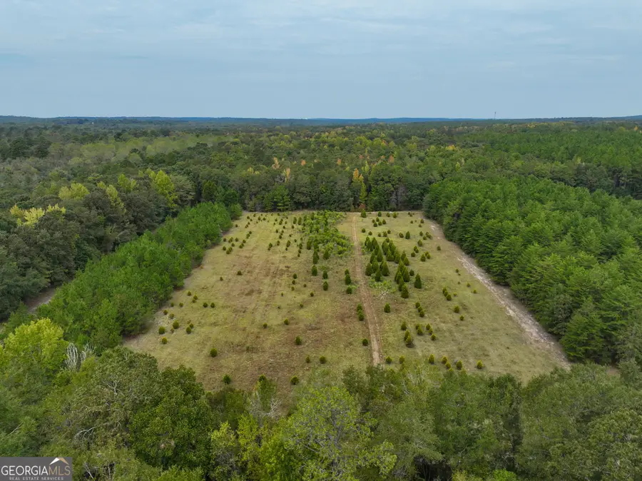 5889 Hammock Road, Macon, GA 31217 - #2