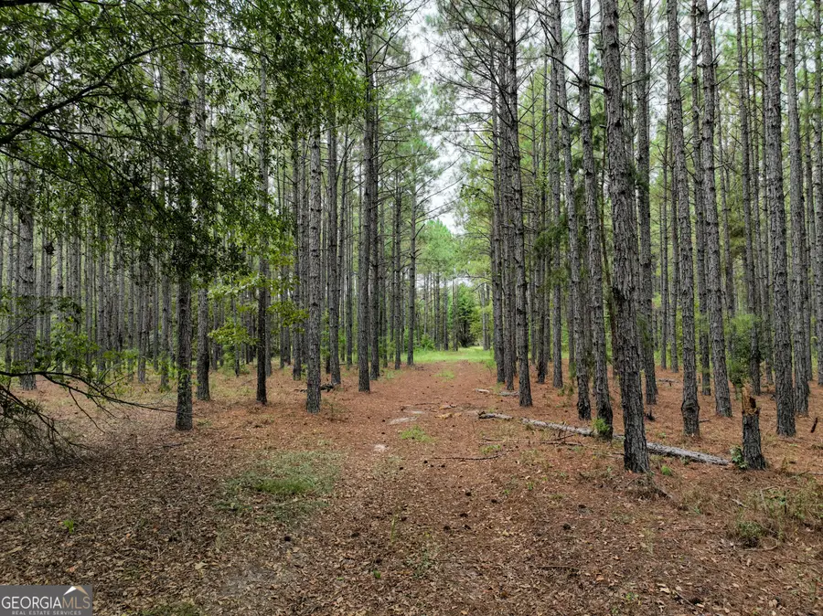5889 Hammock Road, Macon, GA 31217 - #3